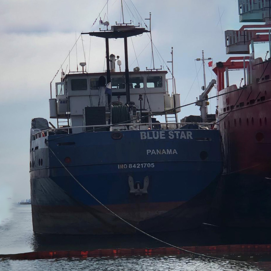 MV Blue Star: Sailing the Seas of Prosperity and Unity MOL Turkey