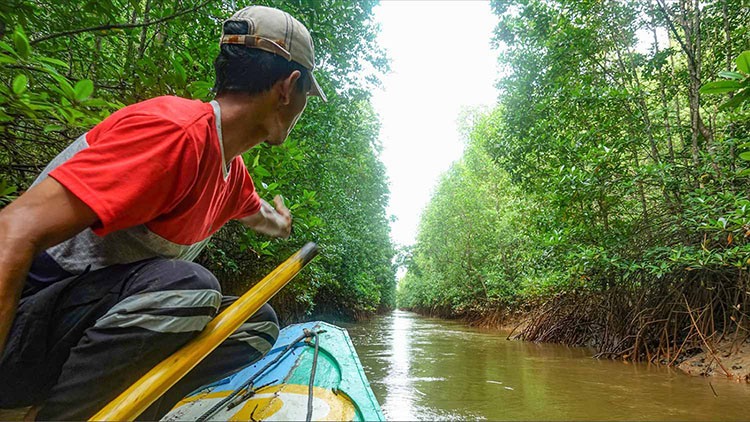 Mangrove Restoration & Conservation Project MOL Turkey