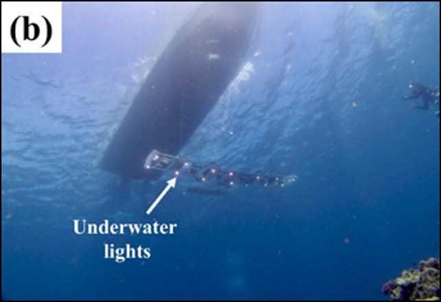 MOL, Research Partners Achieve Efficient, High-precision Seabed Observation of Cold Discharge Water from Ocean Thermal Energy Conversion   MOL Turkey