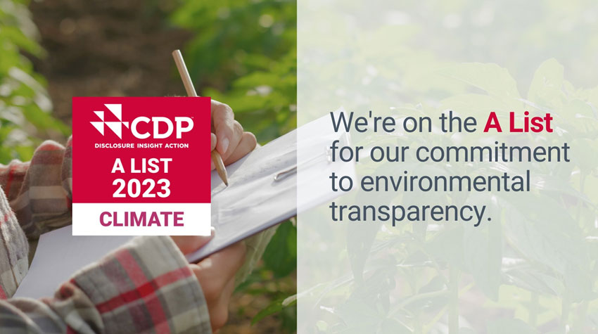 MOL Recognized with 'A' Score for Transparency on Climate Change MOL Turkey